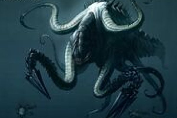 Почему не получается зайти на кракен